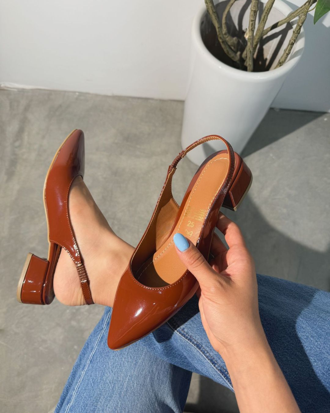 2501R Charol Cacahuate