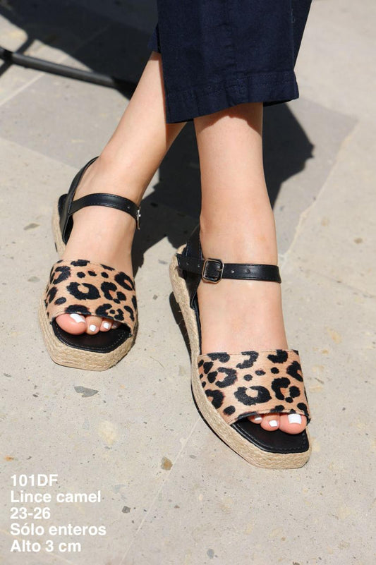 101DF Lince Camel