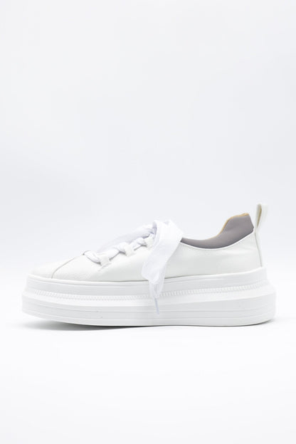 9251 Texano Blanco
